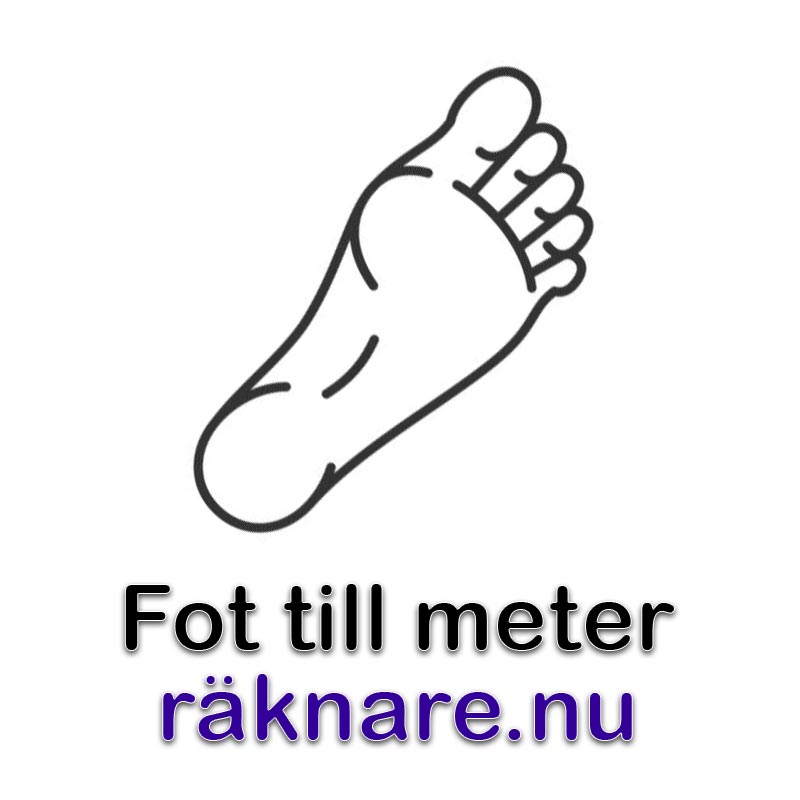 fot till meter